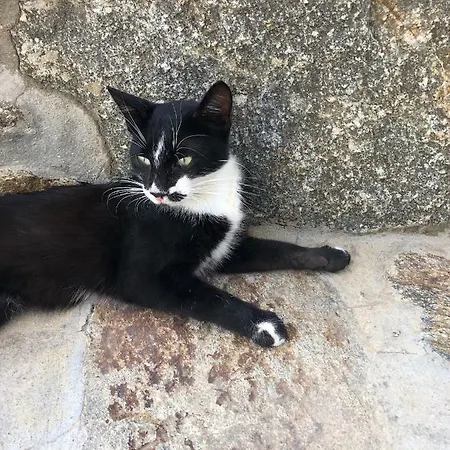 乡村民宿 Ston Hose In Mykonos